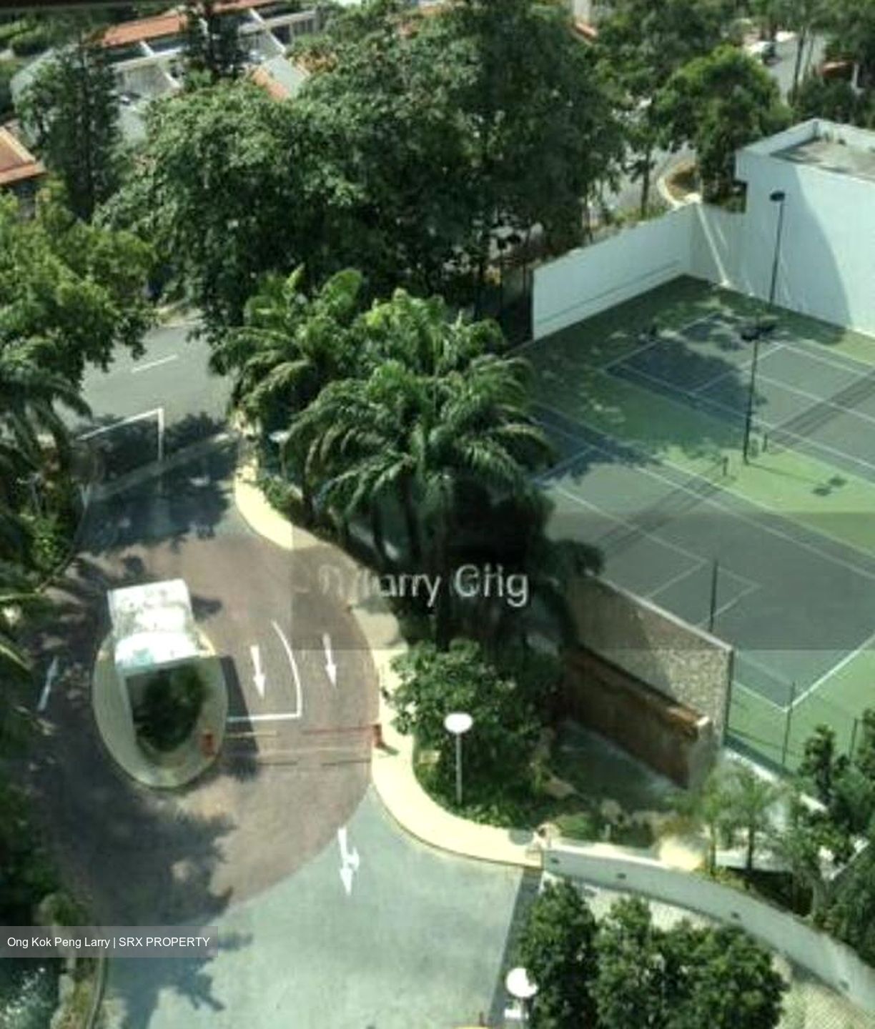 Mount Sinai Drive (D10), Condominium #461129291
